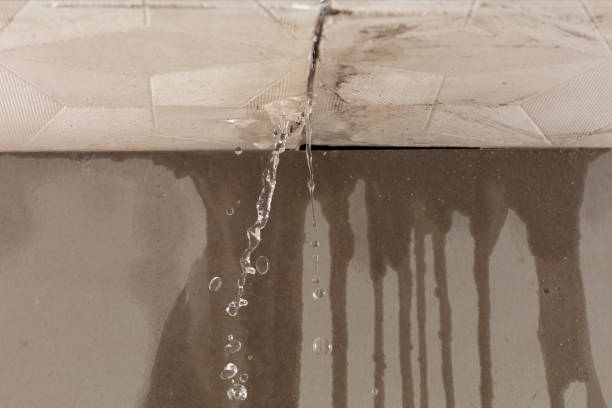 Professional Structural Drying technician working in Ney, OH